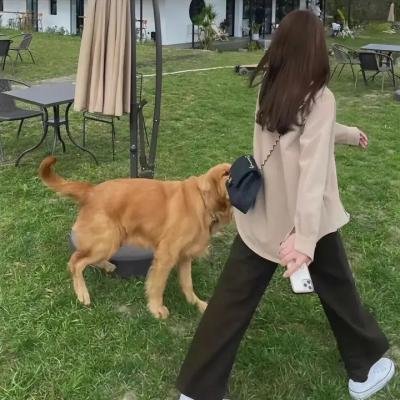 灰烬与钻石